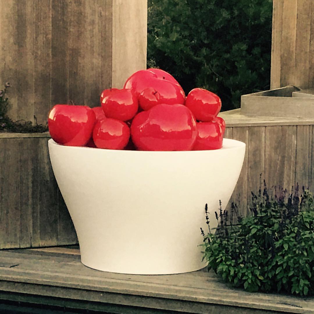 A white bowl with a red apple on a wooden ledge