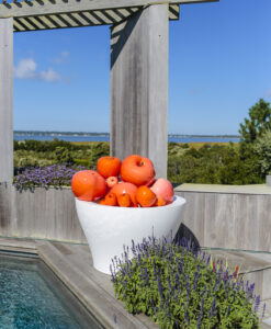 A bowl of couture outdoor orange apples by a pool, with a beautiful water view and a clear blue sky.