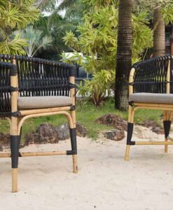 Traditional Powder Coated Aluminum Chair