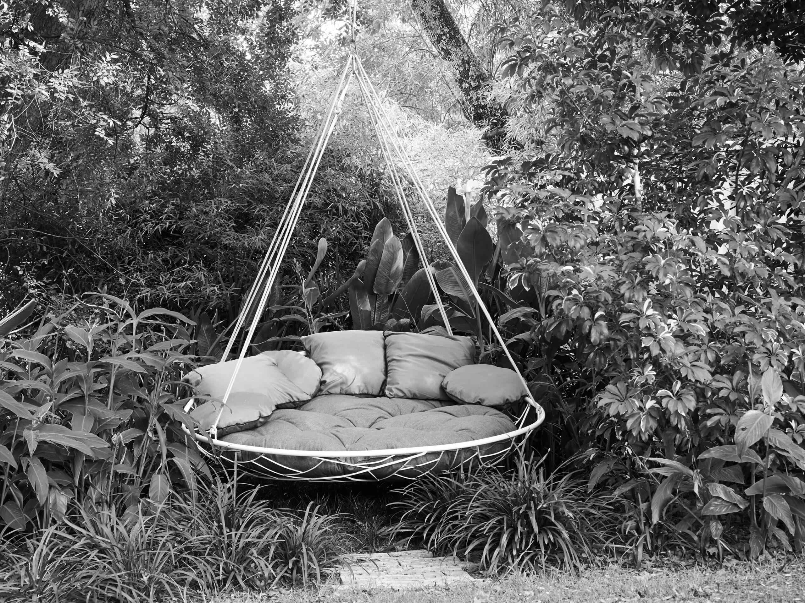 Saucer Swing Sway