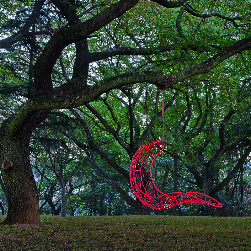 A pea-red modern hanging chair hangs from the branch of a large tree in a lush, green forest.