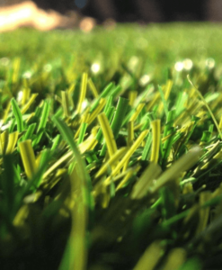 Close-up of artificial grass