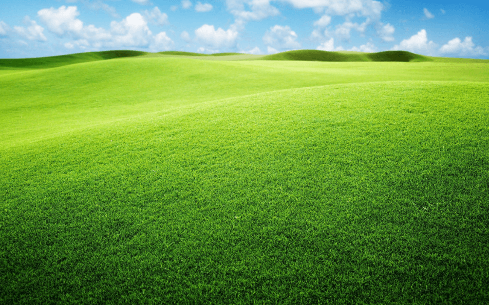 Lush green rolling hills under a clear blue sky.
