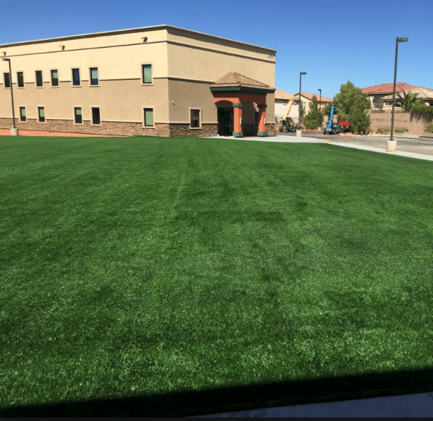 Lush green lawn in front of a modern building with clear blue sky.