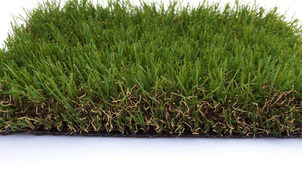 Outdoor Green Grass with white background