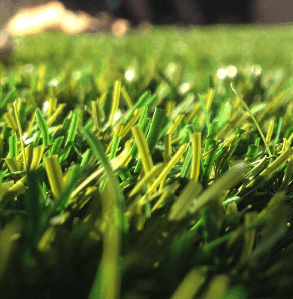 Close-up of artificial grass