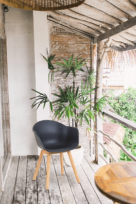 Abi Teak Dining Chair