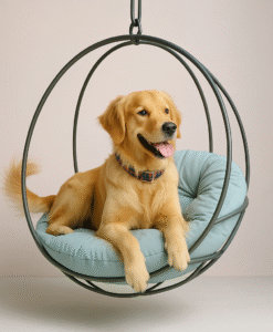 Dog Swing Outdoor